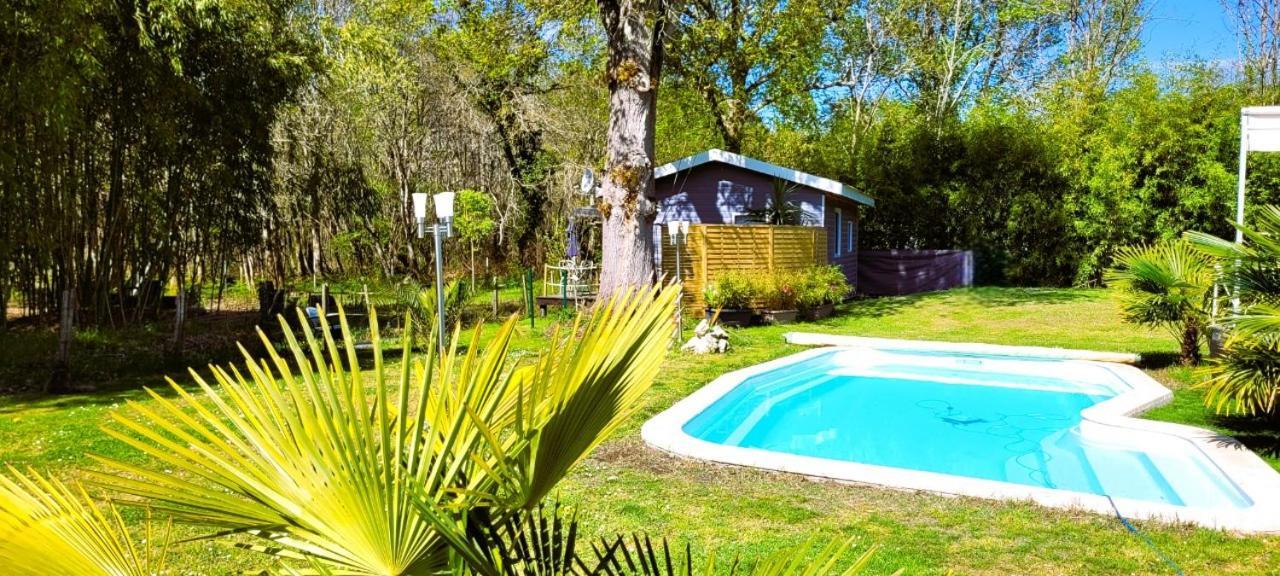 La Maison De La Saye & Hébergement de vacances