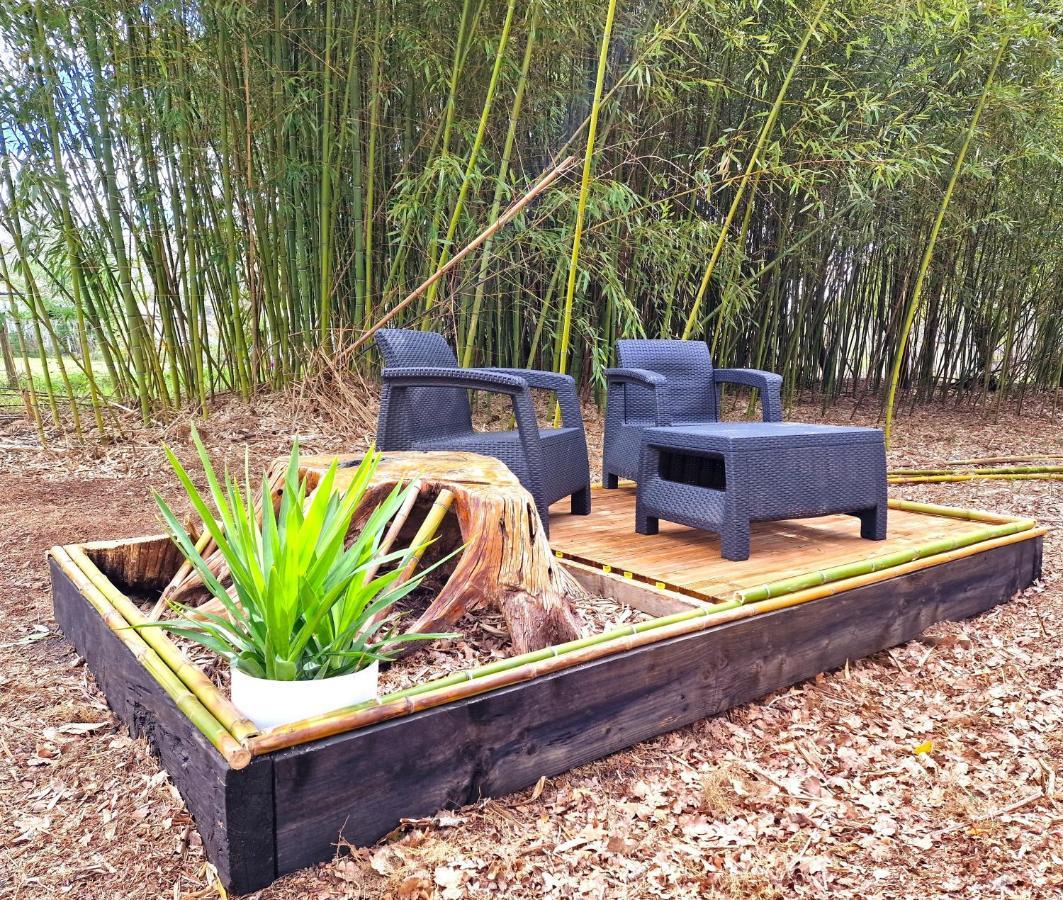 Holiday home La Maison De La Saye & *