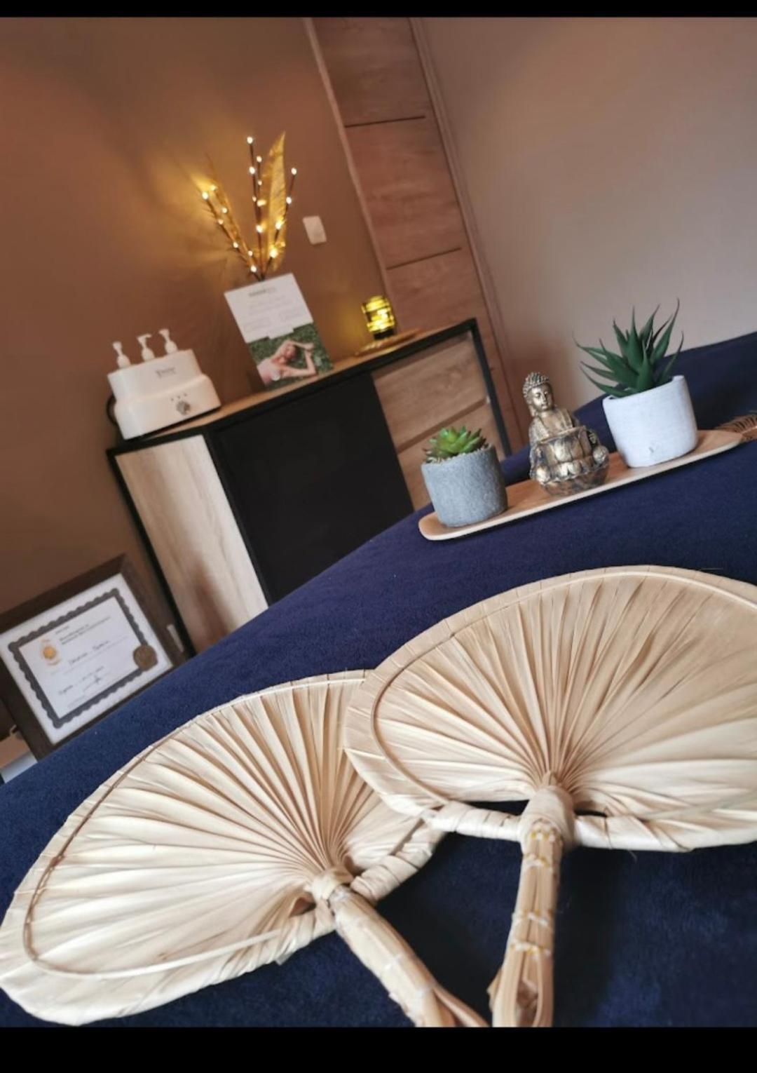 Hébergement de vacances La Maison De La Saye & Mios